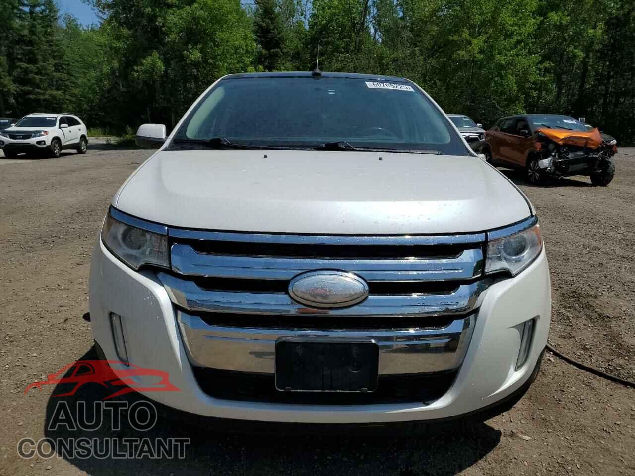 FORD EDGE 2011 - 2FMDK4KC7BBB01060