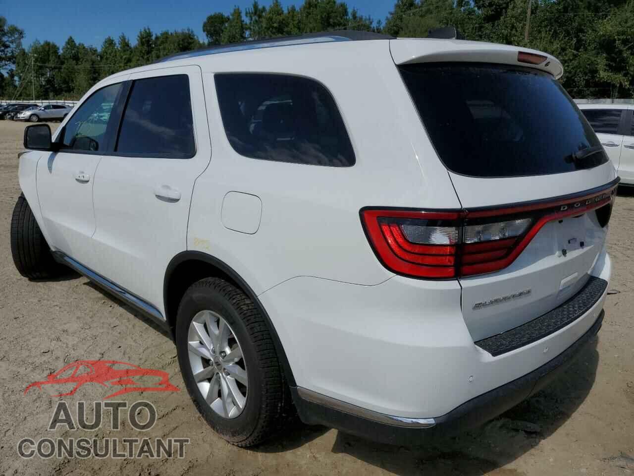 DODGE DURANGO 2019 - 1C4RDHAG3KC847411