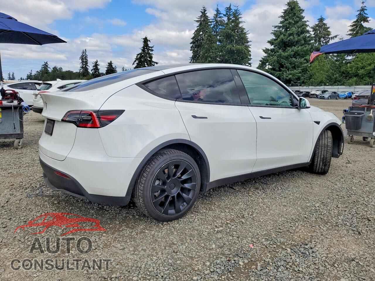 TESLA MODEL Y 2021 - 5YJYGDEEXMF102097