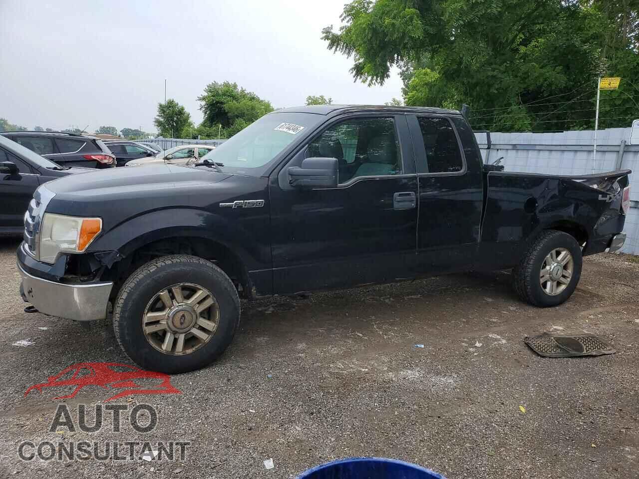 FORD F150 2011 - 1FTFX1EF3BFC68369