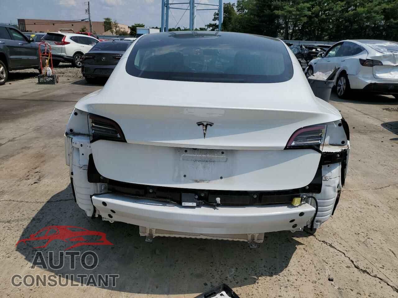 TESLA MODEL 3 2018 - 5YJ3E1EA8JF153055