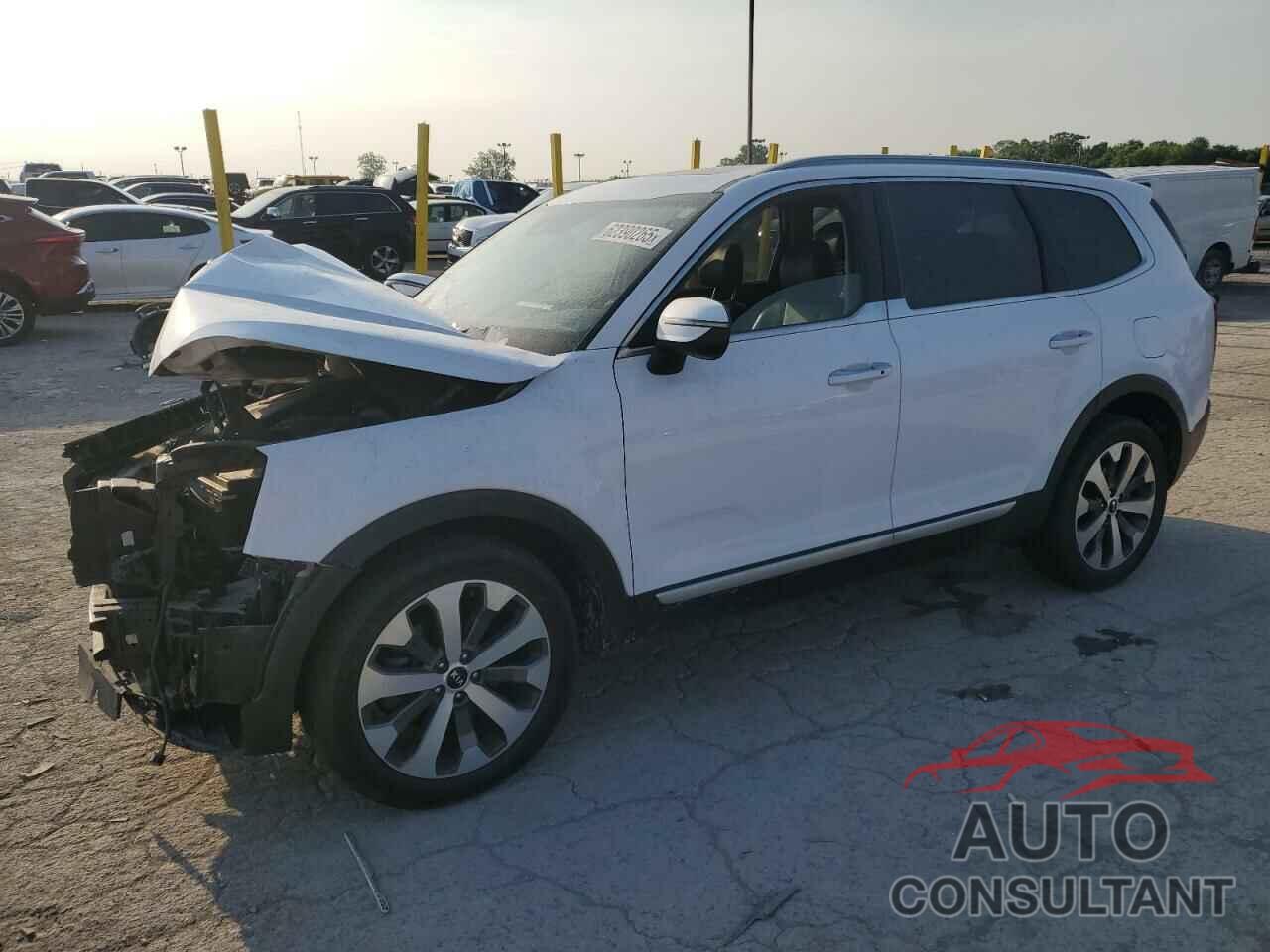 KIA TELLURIDE 2021 - 5XYP6DHC9MG136985