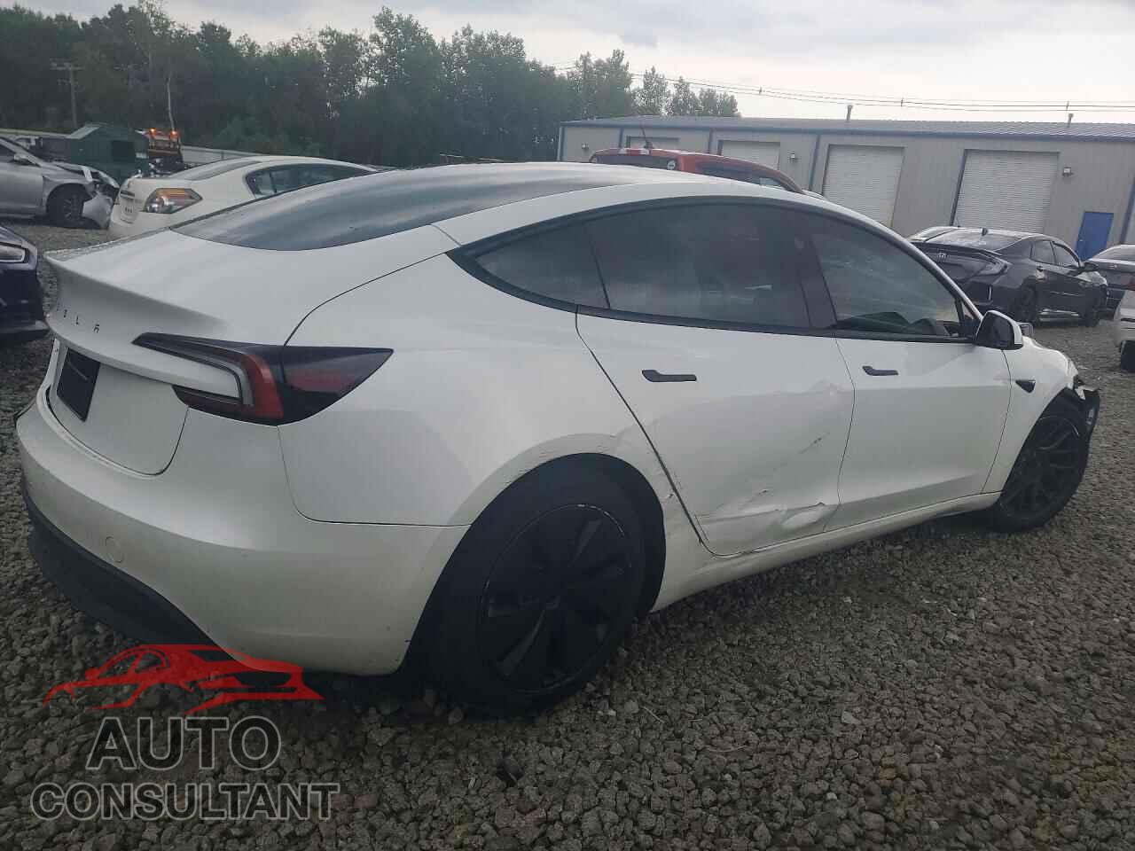 TESLA MODEL 3 2024 - 5YJ3E1EA9RF784246