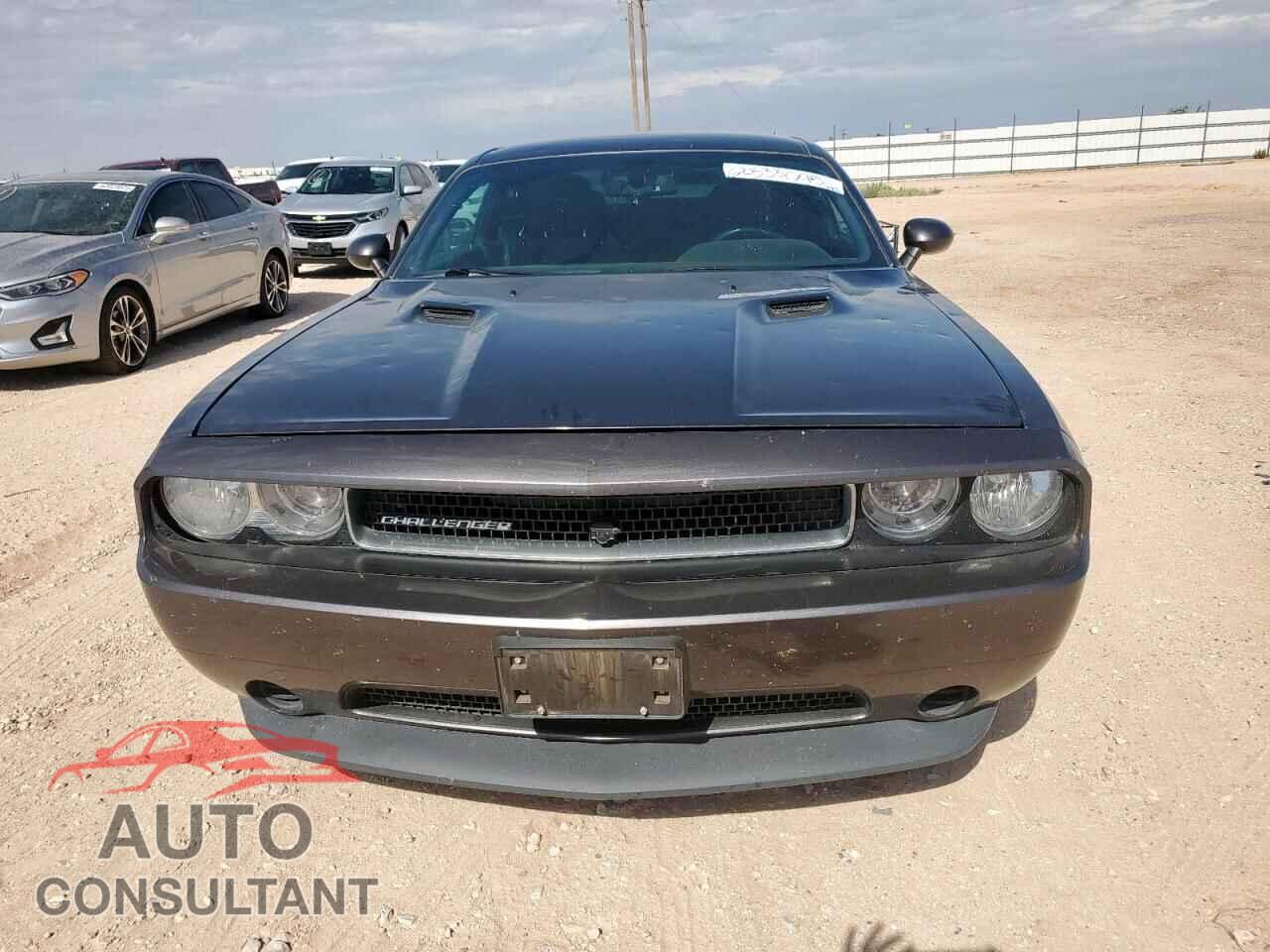 DODGE CHALLENGER 2014 - 2C3CDYAG4EH299155