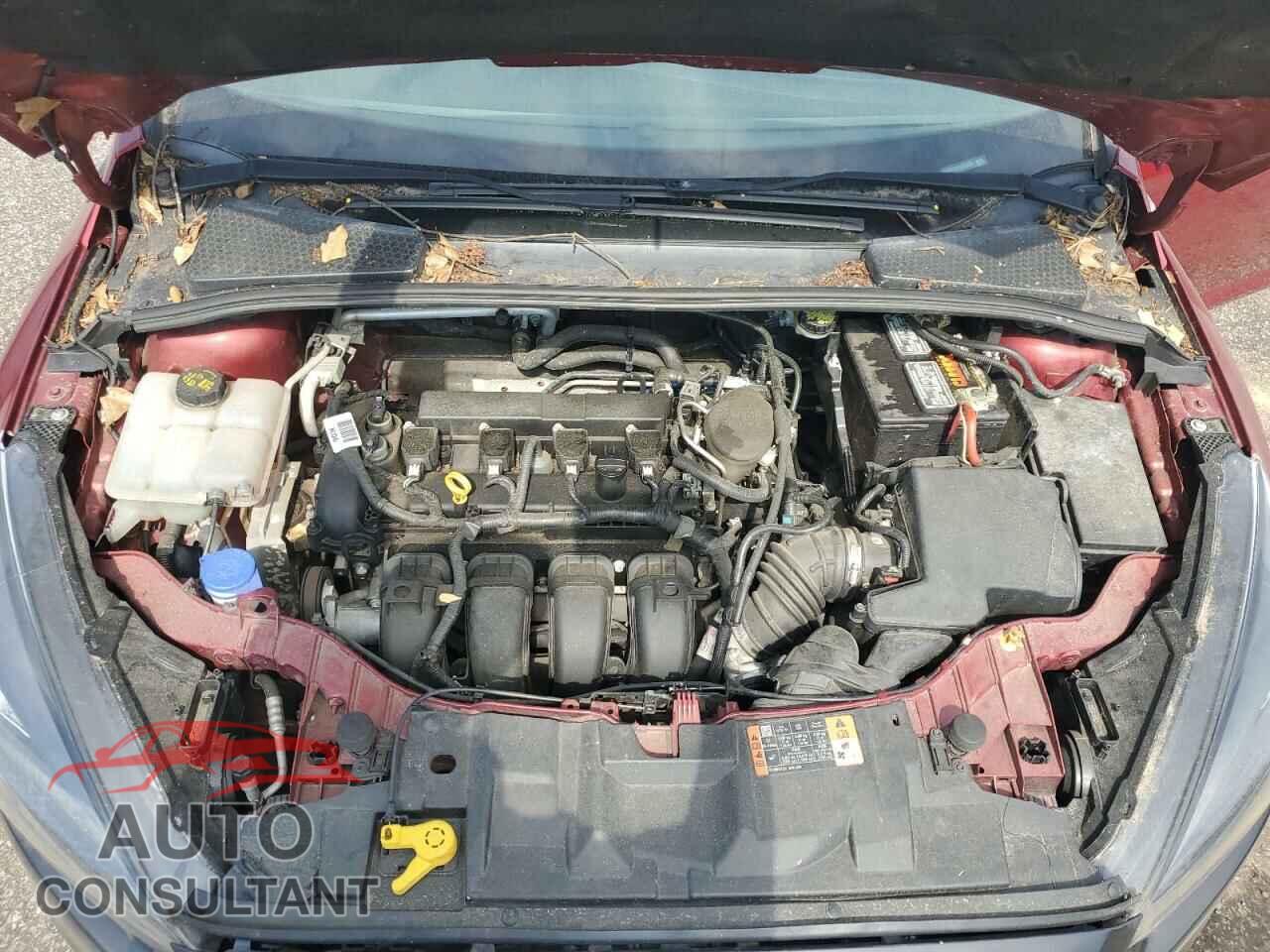 FORD FOCUS 2015 - 1FADP3F24FL311323