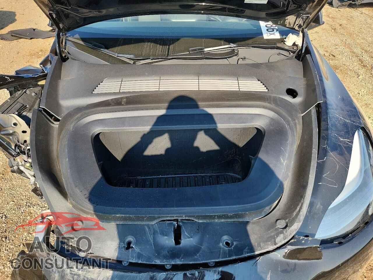 TESLA MODEL Y 2024 - 7SAYGDEE8RF167959