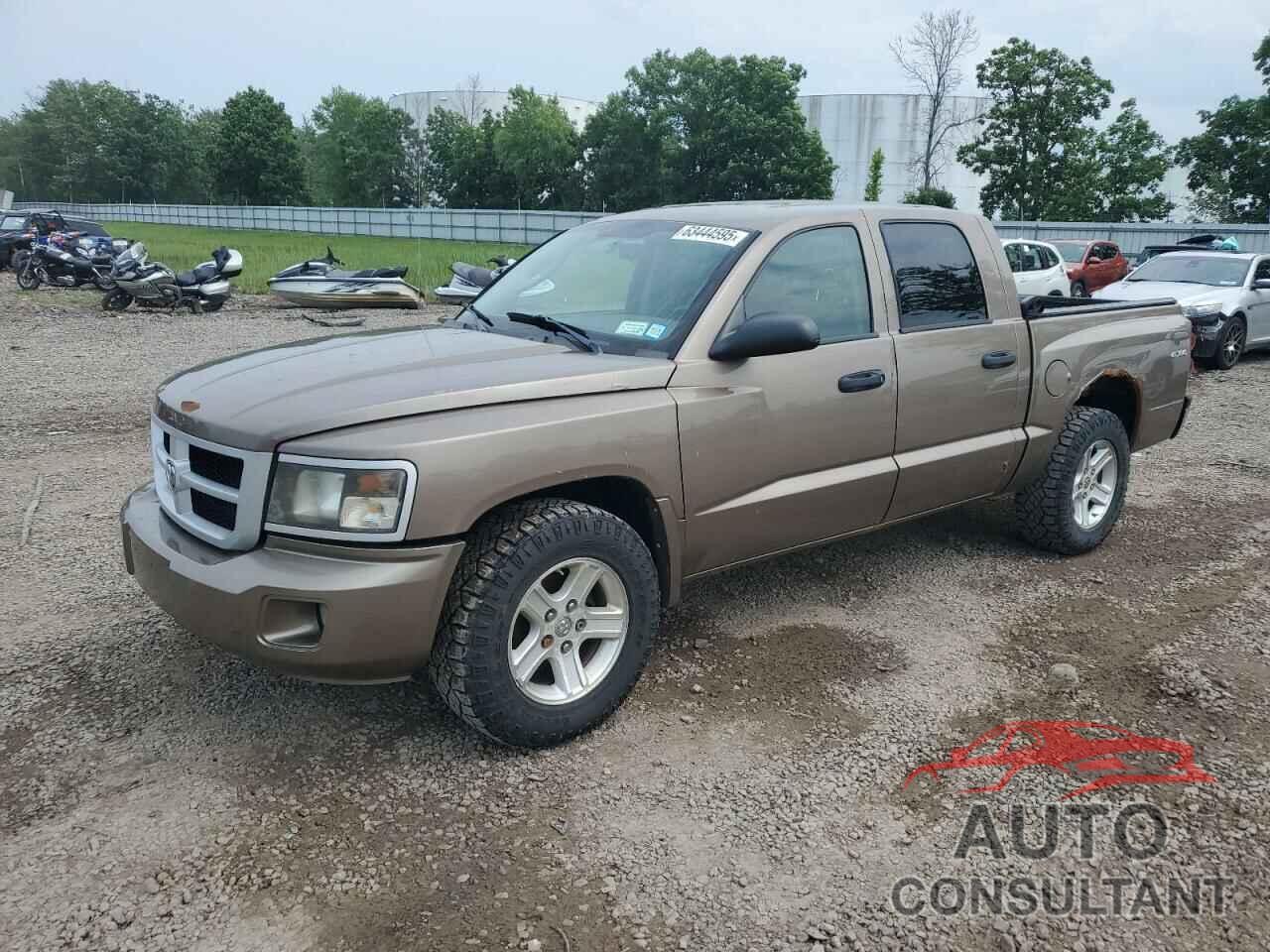 DODGE DAKOTA 2009 - 1D7HW38K29S774220