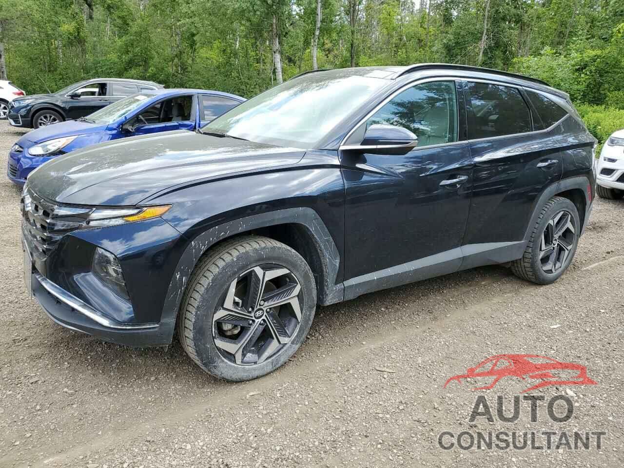 HYUNDAI TUCSON 2023 - KM8JCCA15PU107693