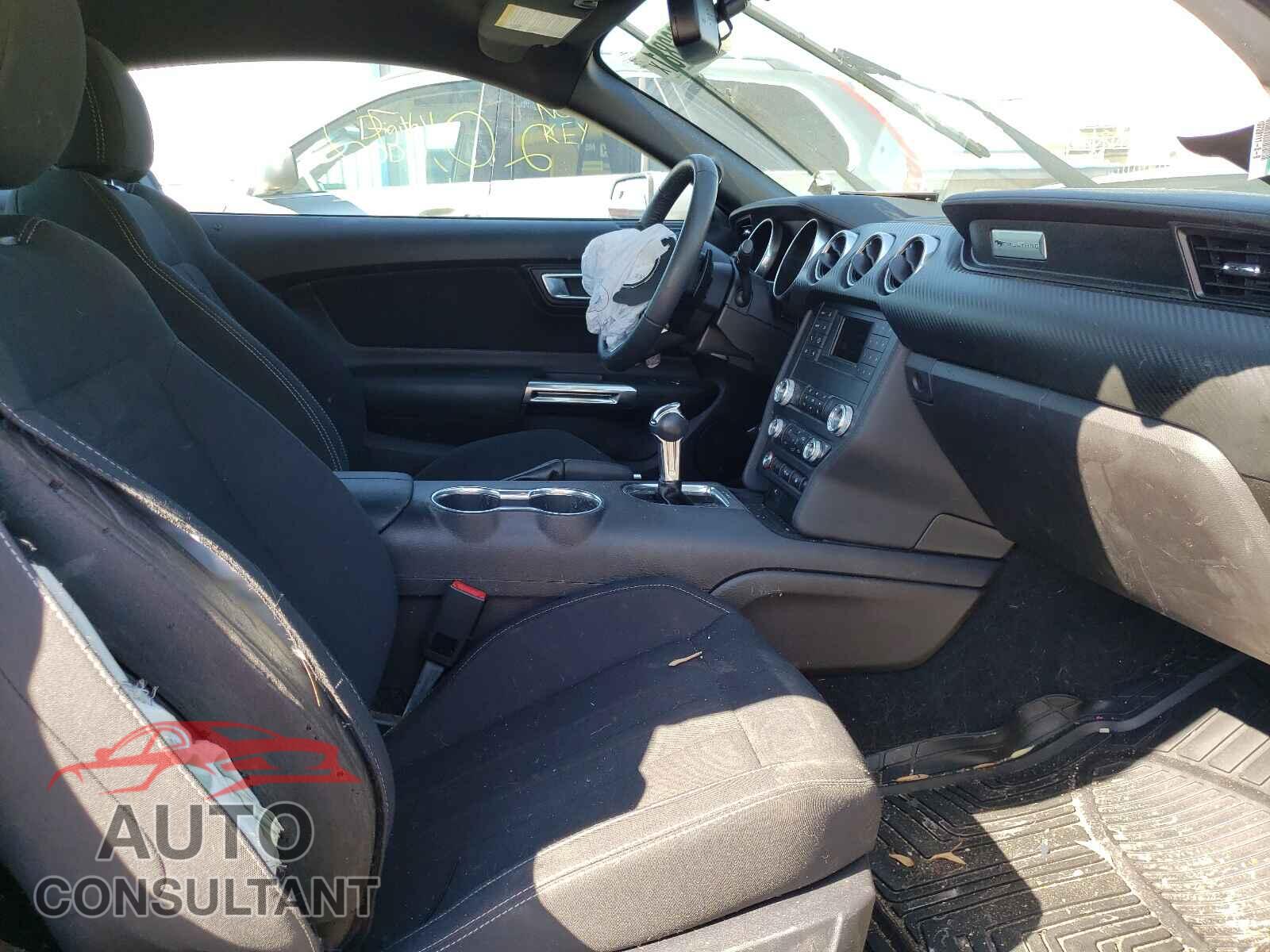 FORD MUSTANG 2019 - 1FA6P8THXK5184672