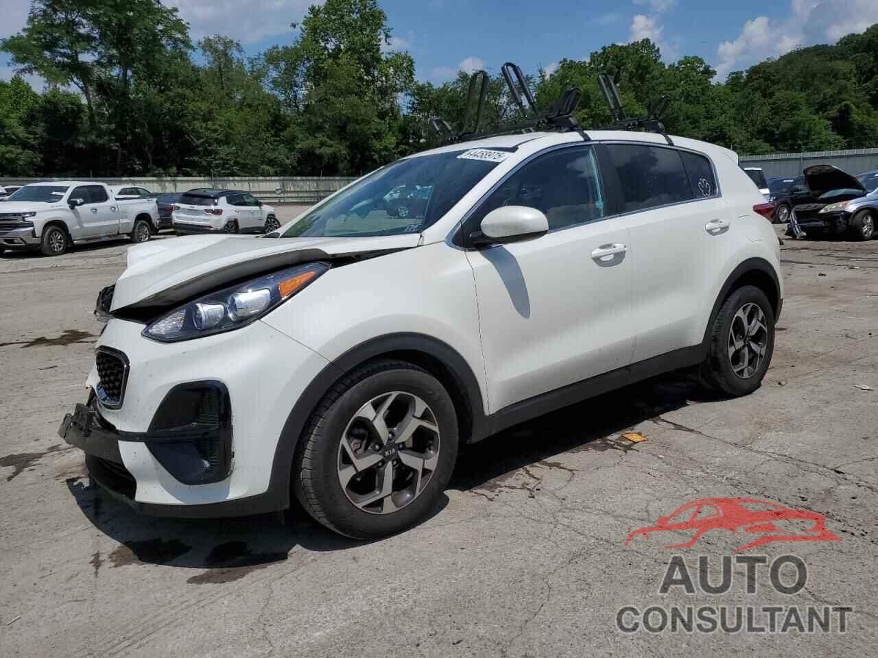 KIA SPORTAGE 2022 - KNDPM3AC5N7006887
