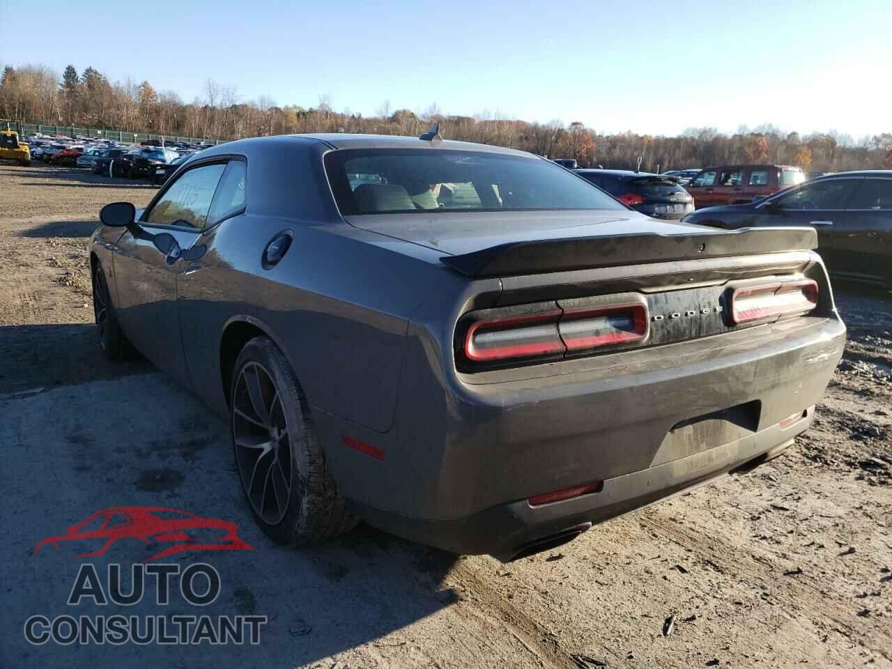 DODGE CHALLENGER 2018 - 2C3CDZFJ7JH246163