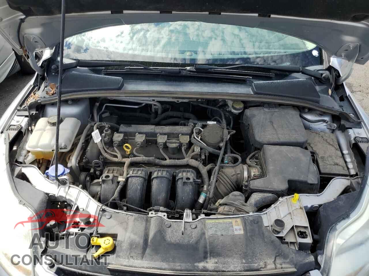 FORD FOCUS 2012 - 1FAHP3K21CL329684