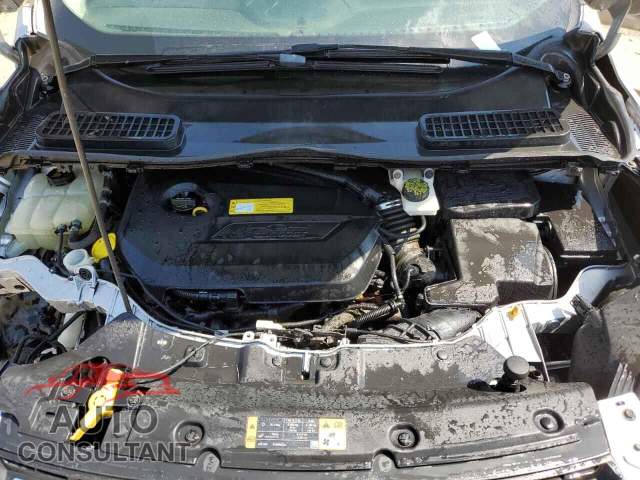 FORD ESCAPE 2014 - 1FMCU0GX3EUA52139