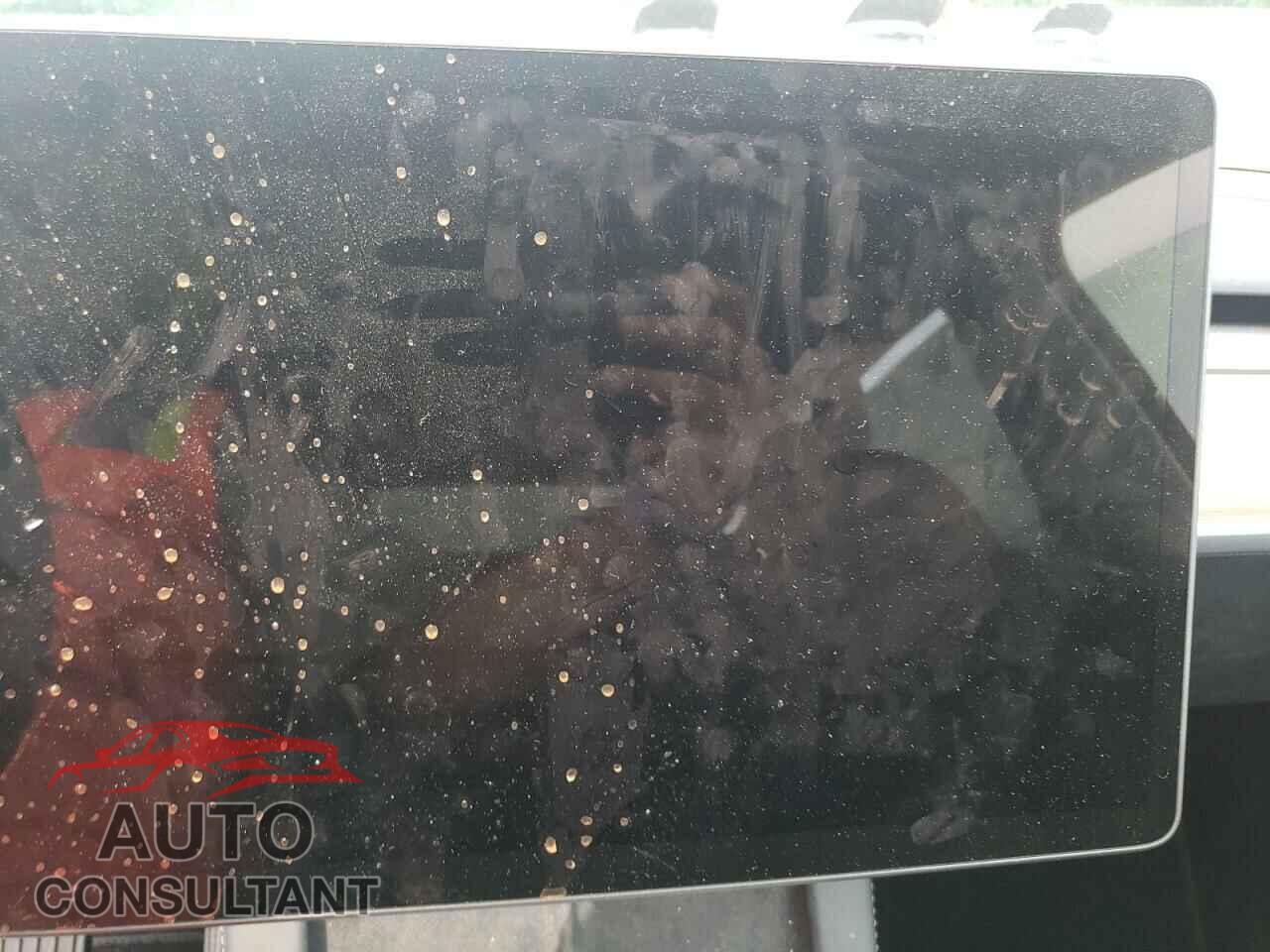 TESLA MODEL Y 2023 - 7SAYGAEE2PF618816