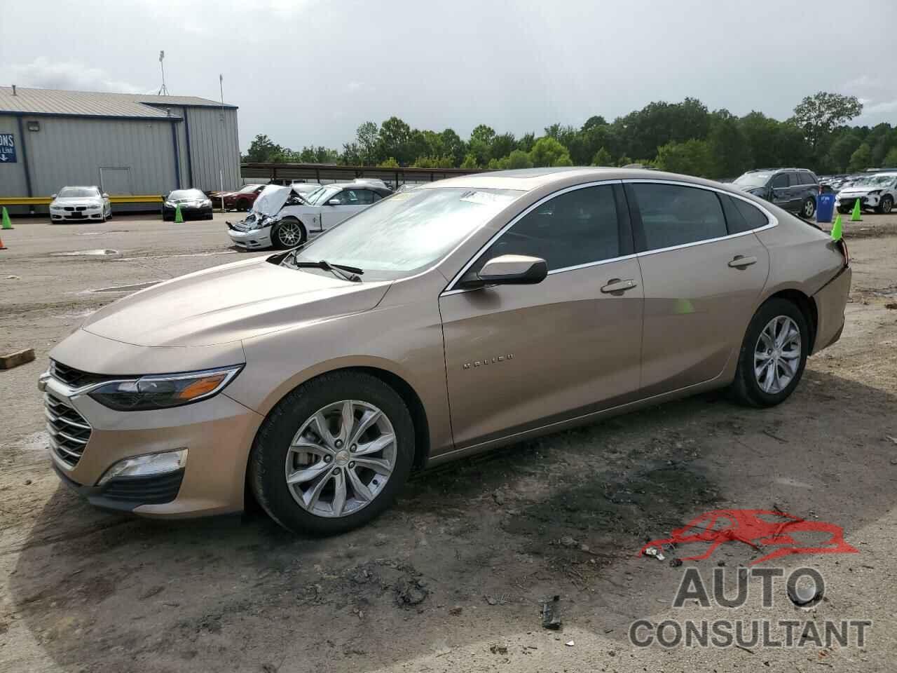 CHEVROLET MALIBU 2019 - 1G1ZD5ST3KF150516