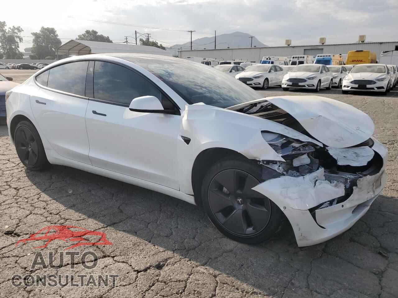 TESLA MODEL 3 2021 - 5YJ3E1EA5MF989619