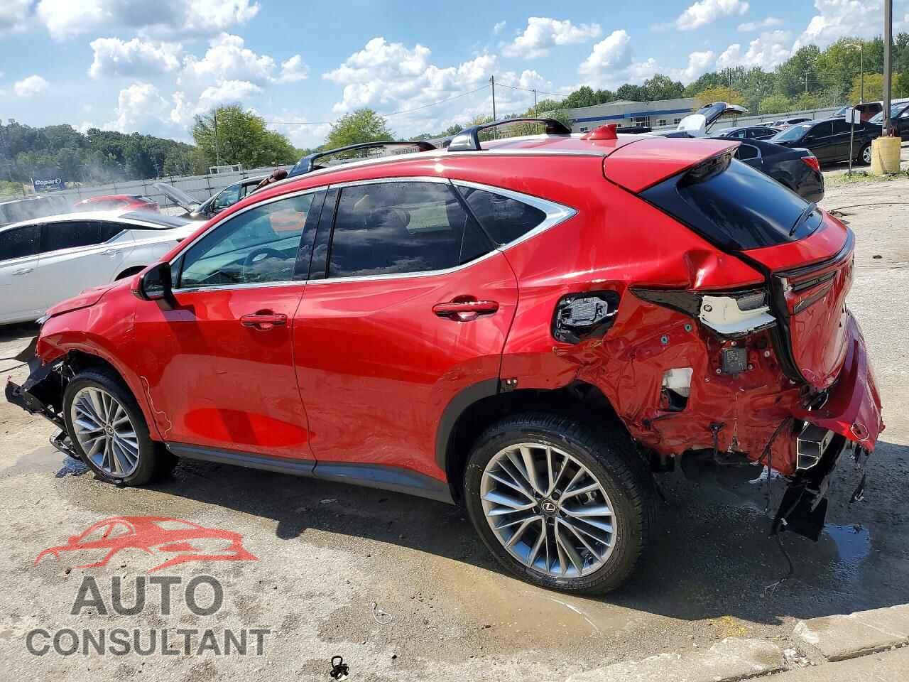 LEXUS NX 2025 - 2T2GGCEZ7SC080615