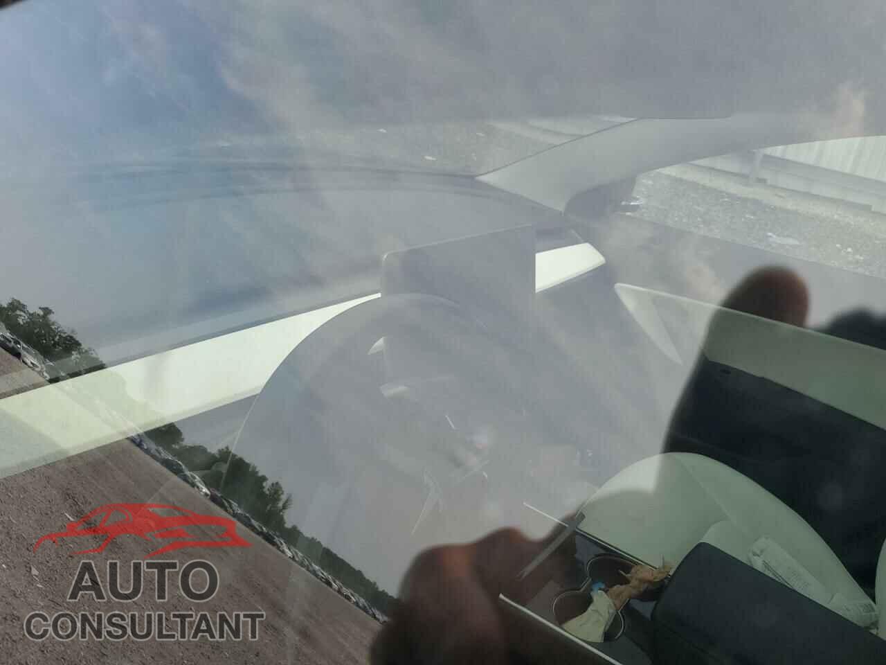 TESLA MODEL 3 2019 - 5YJ3E1EA5KF323518