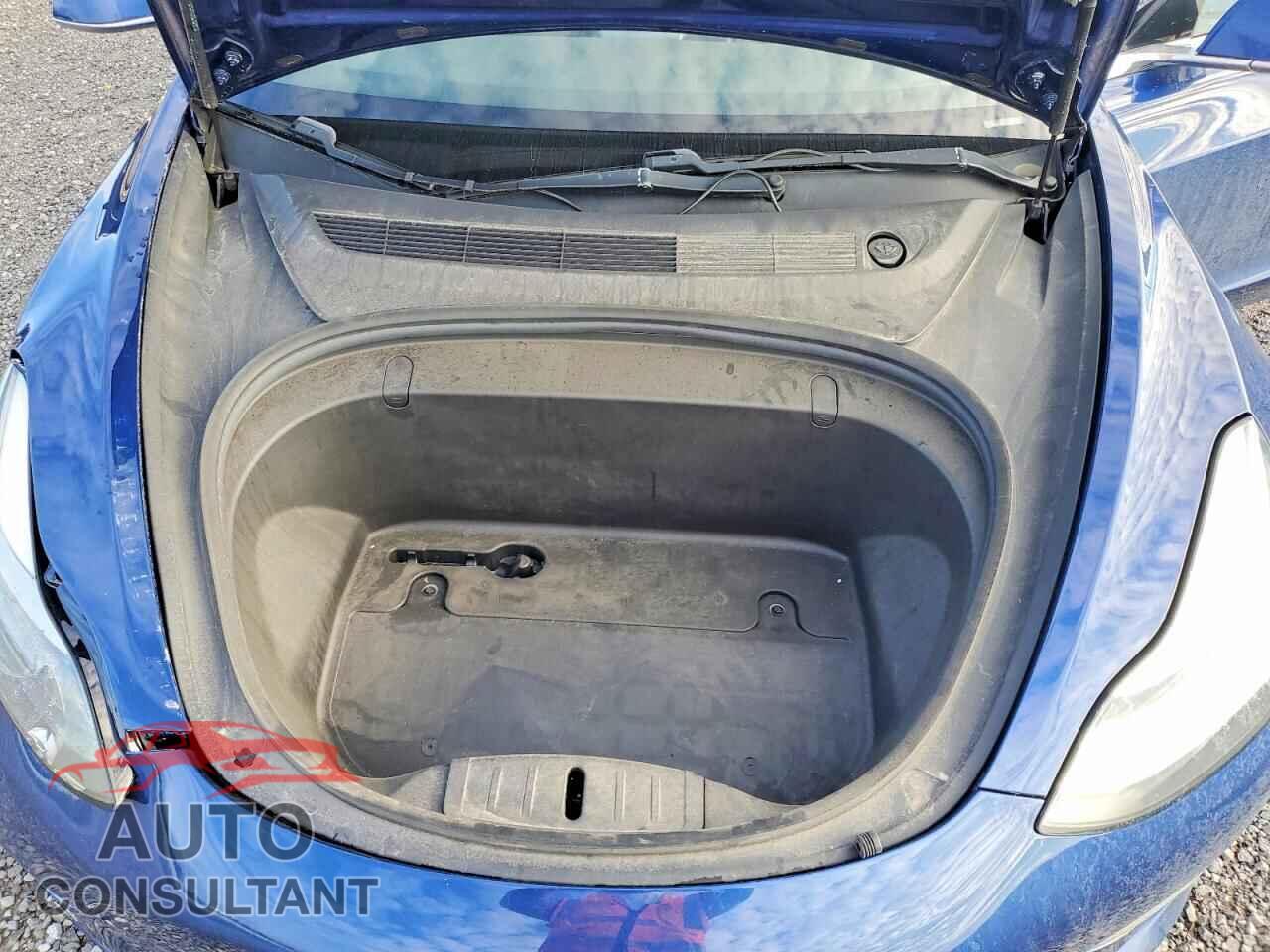 TESLA MODEL 3 2019 - 5YJ3E1EA5KF401067