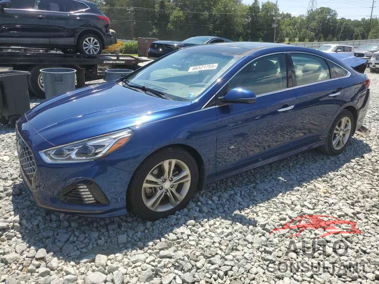 HYUNDAI SONATA 2019 - 5NPE34AF8KH783808