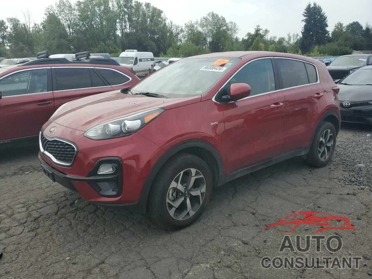 KIA SPORTAGE 2022 - KNDPMCAC2N7950081