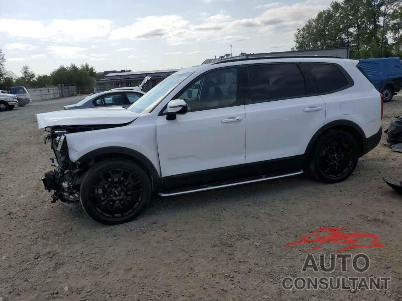 KIA TELLURIDE 2022 - 5XYP5DHC5NG296611