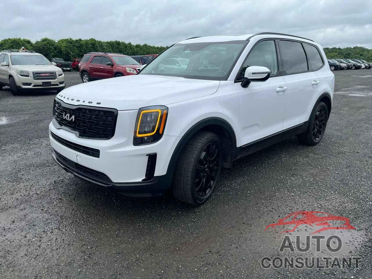 KIA TELLURIDE 2022 - 5XYP3DHC2NG263099