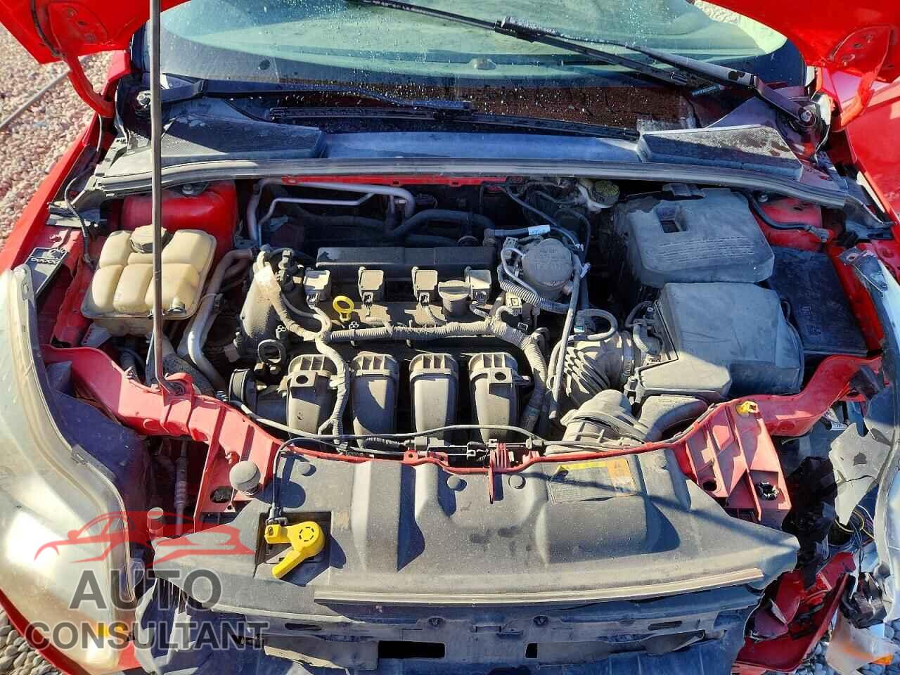 FORD FOCUS 2012 - 1FAHP3F24CL227855