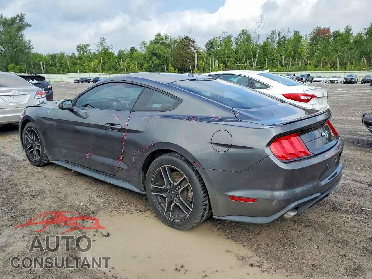 FORD MUSTANG 2019 - 1FA6P8THXK5114640