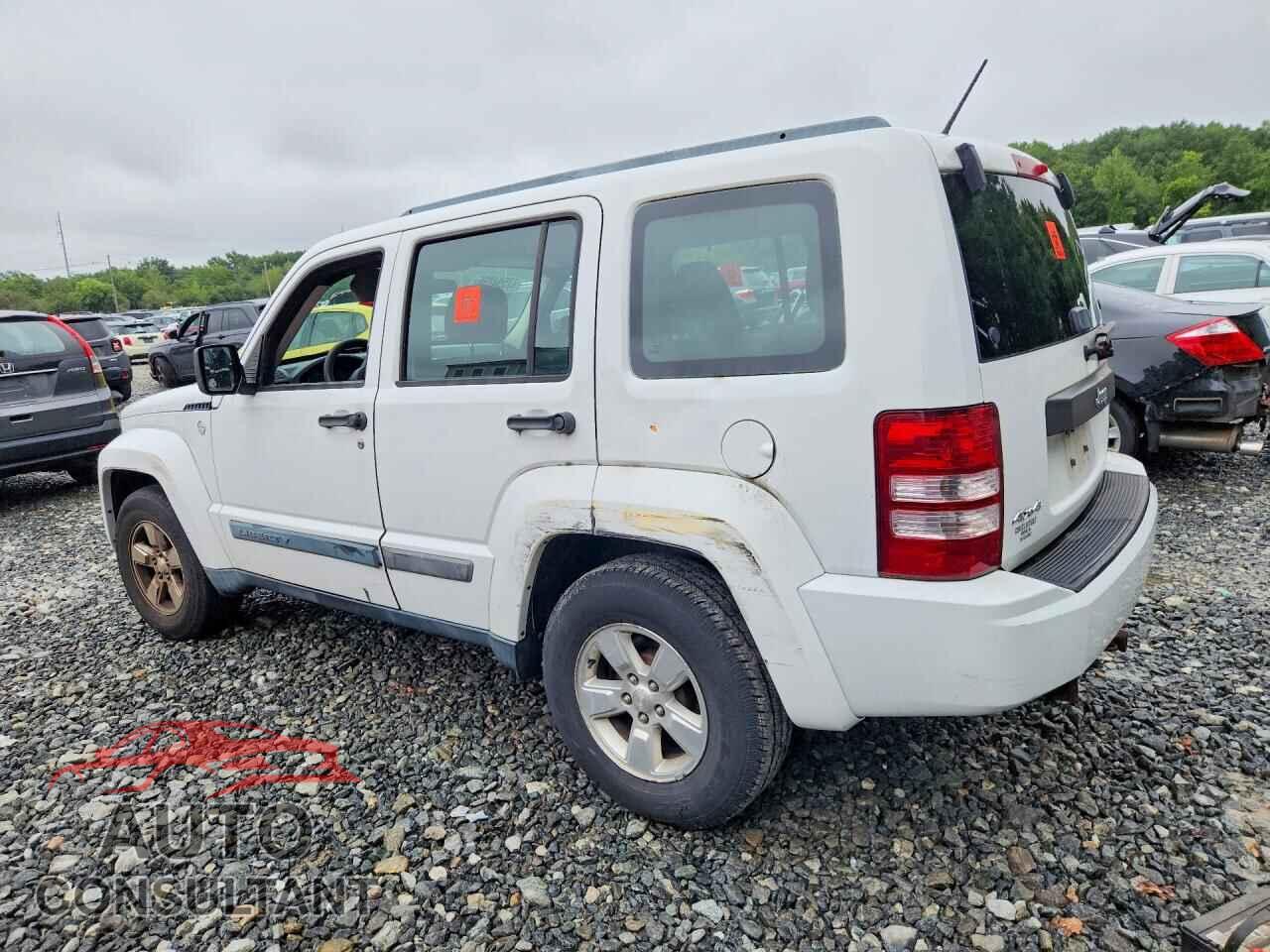 JEEP LIBERTY 2011 - 1J4PN2GK6BW521334