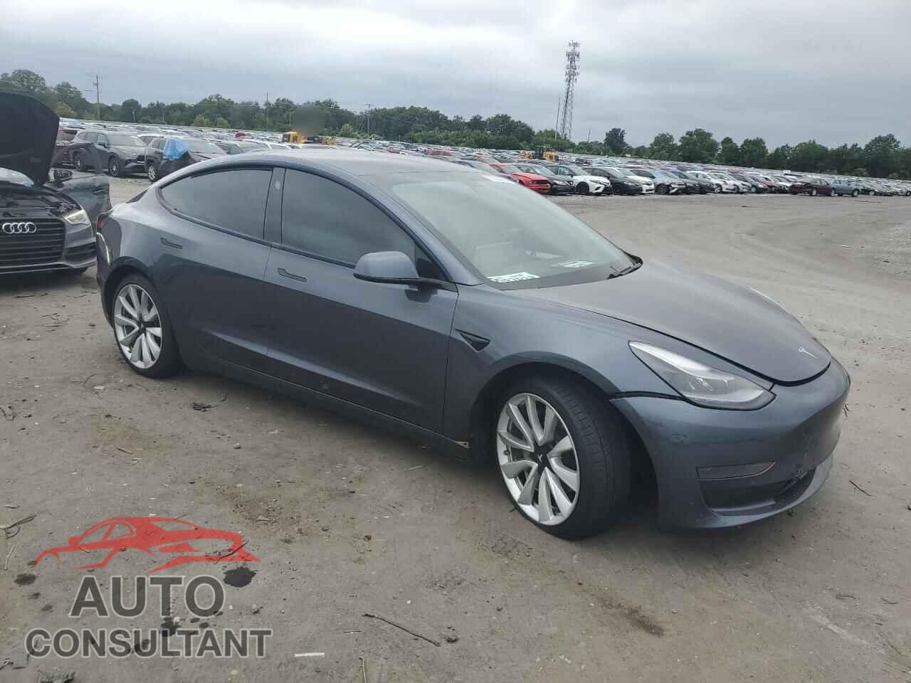 TESLA MODEL 3 2021 - 5YJ3E1EA7MF031310