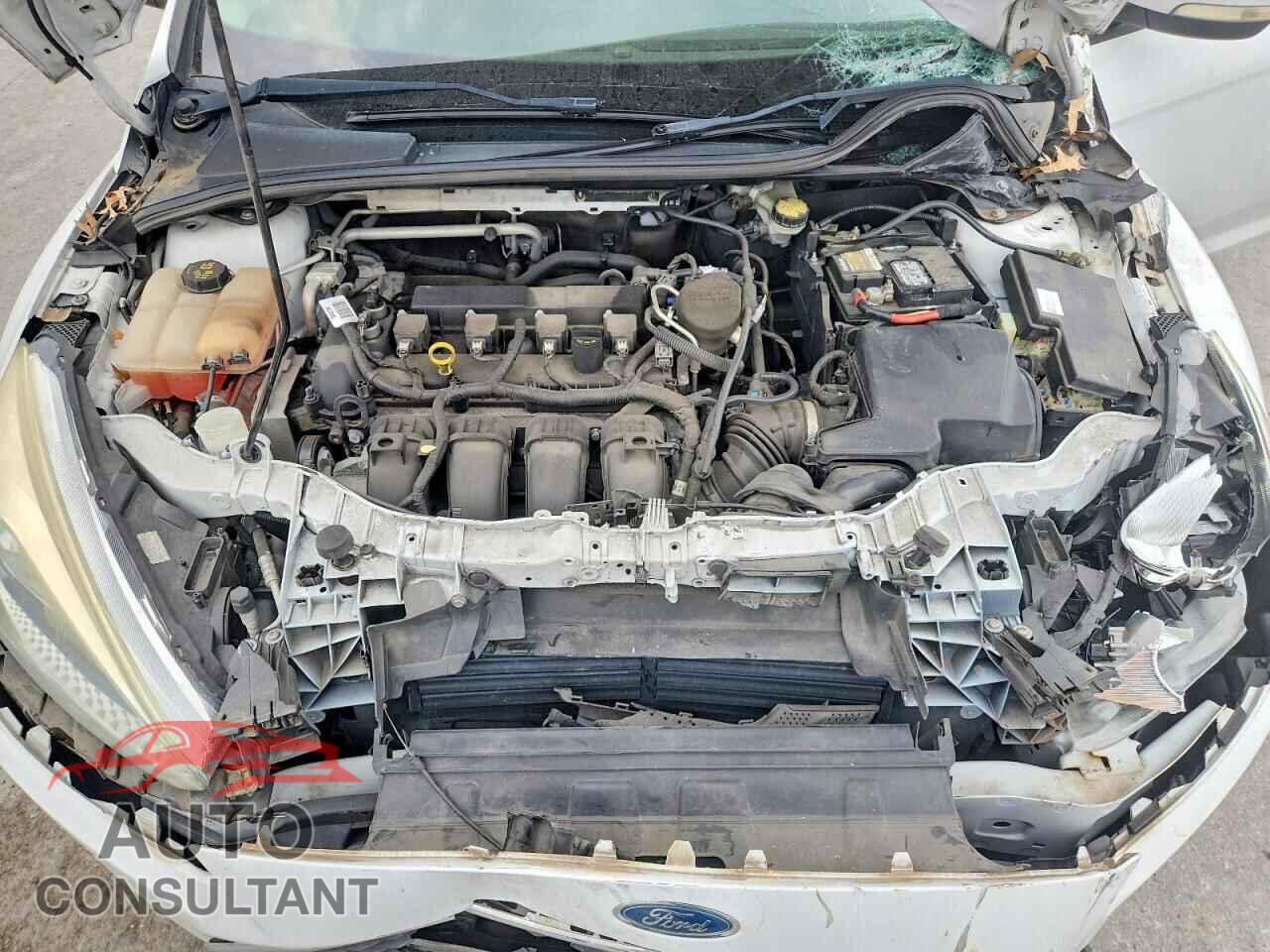 FORD FOCUS 2016 - 1FADP3K22GL310842