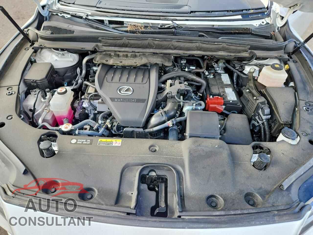 LEXUS RX350 2023 - 2T2BAMBA8PC014887