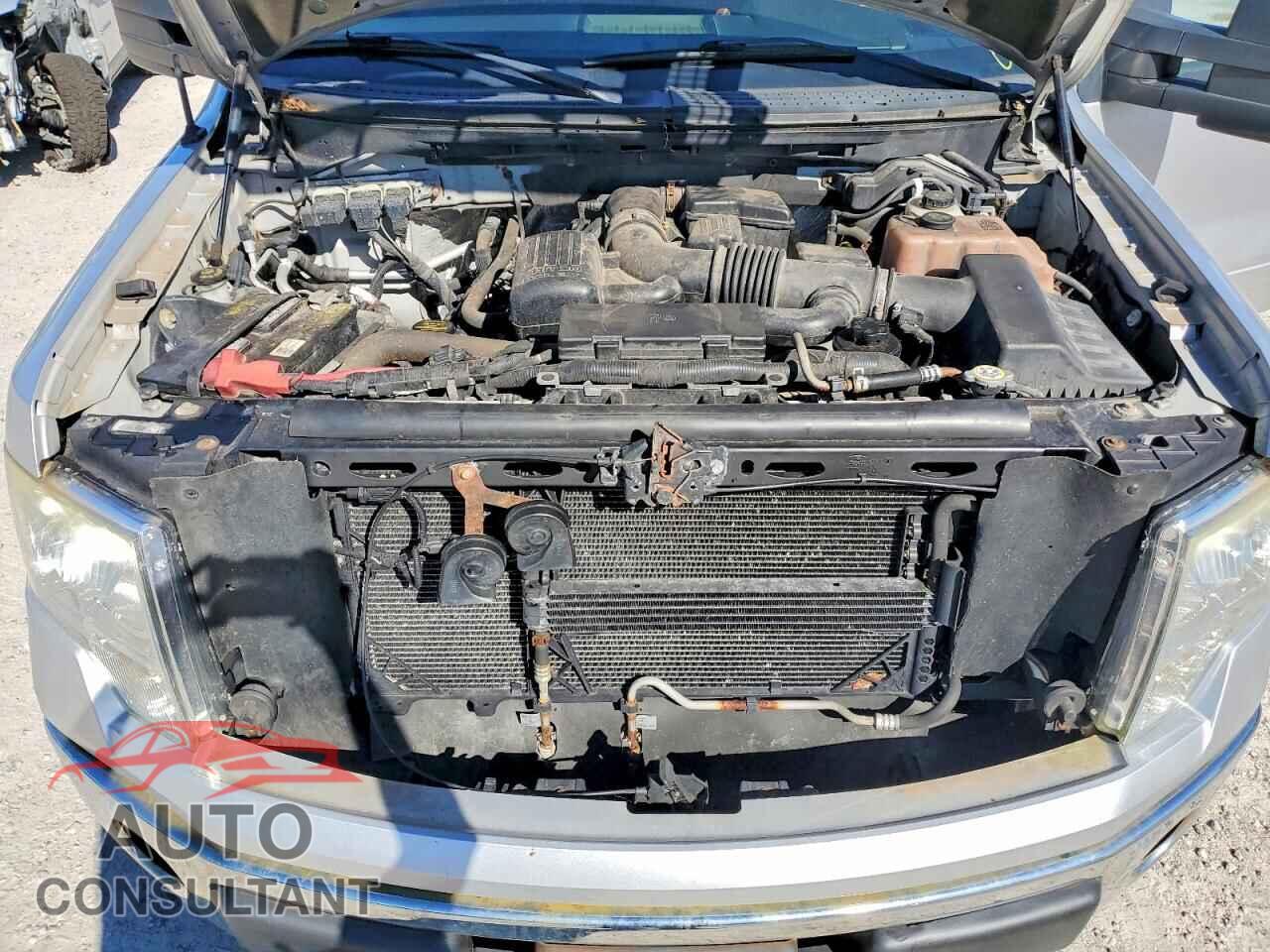 FORD F150 2010 - 1FTFX1EV2AFB66924