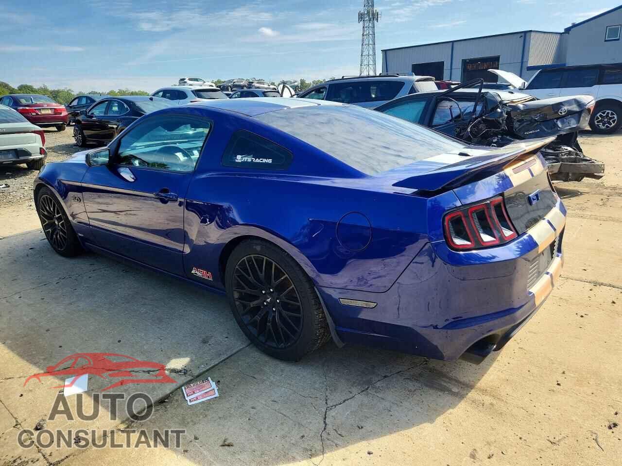 FORD MUSTANG 2013 - 1ZVBP8CF6D5201071