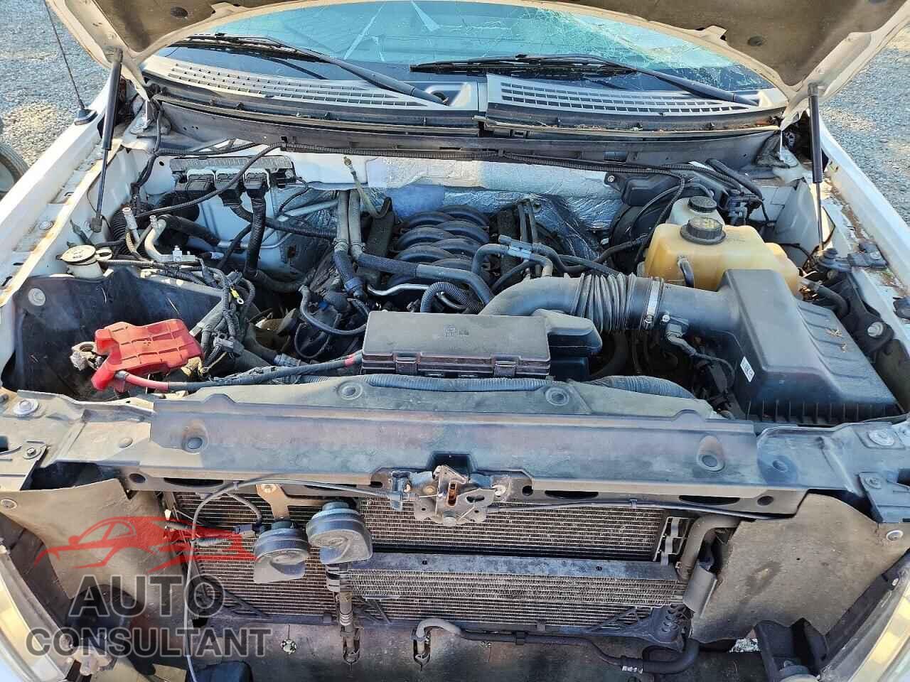 FORD F150 2012 - 1FTFX1EF8CFA32401
