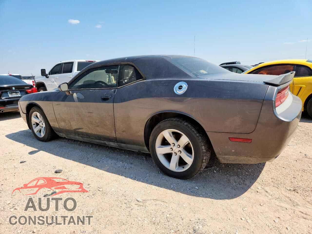 DODGE CHALLENGER 2014 - 2C3CDYAG5EH270442