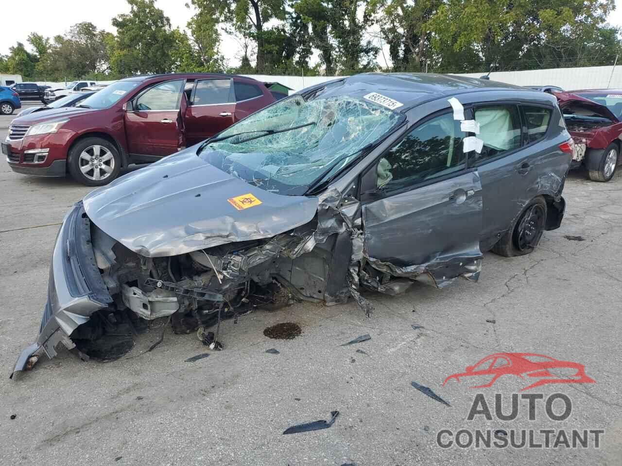 FORD ESCAPE 2014 - 1FMCU0F73EUC68090