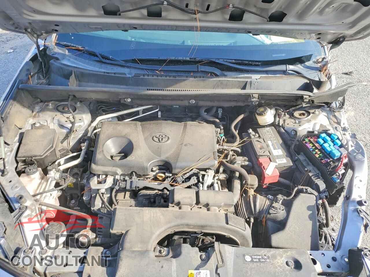 TOYOTA RAV4 2019 - 2T3H1RFV5KW041004