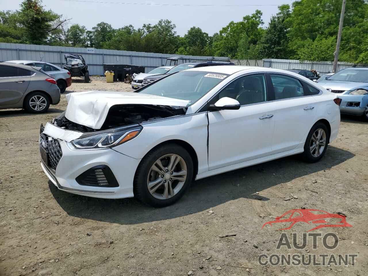 HYUNDAI SONATA 2019 - 5NPE34AF8KH762151