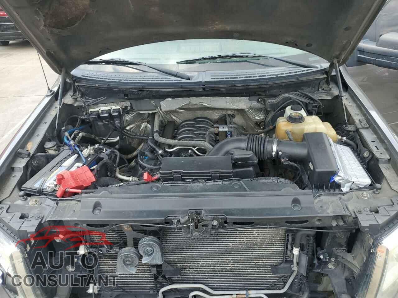 FORD F-150 2013 - 1FTFW1EF8DFD19905