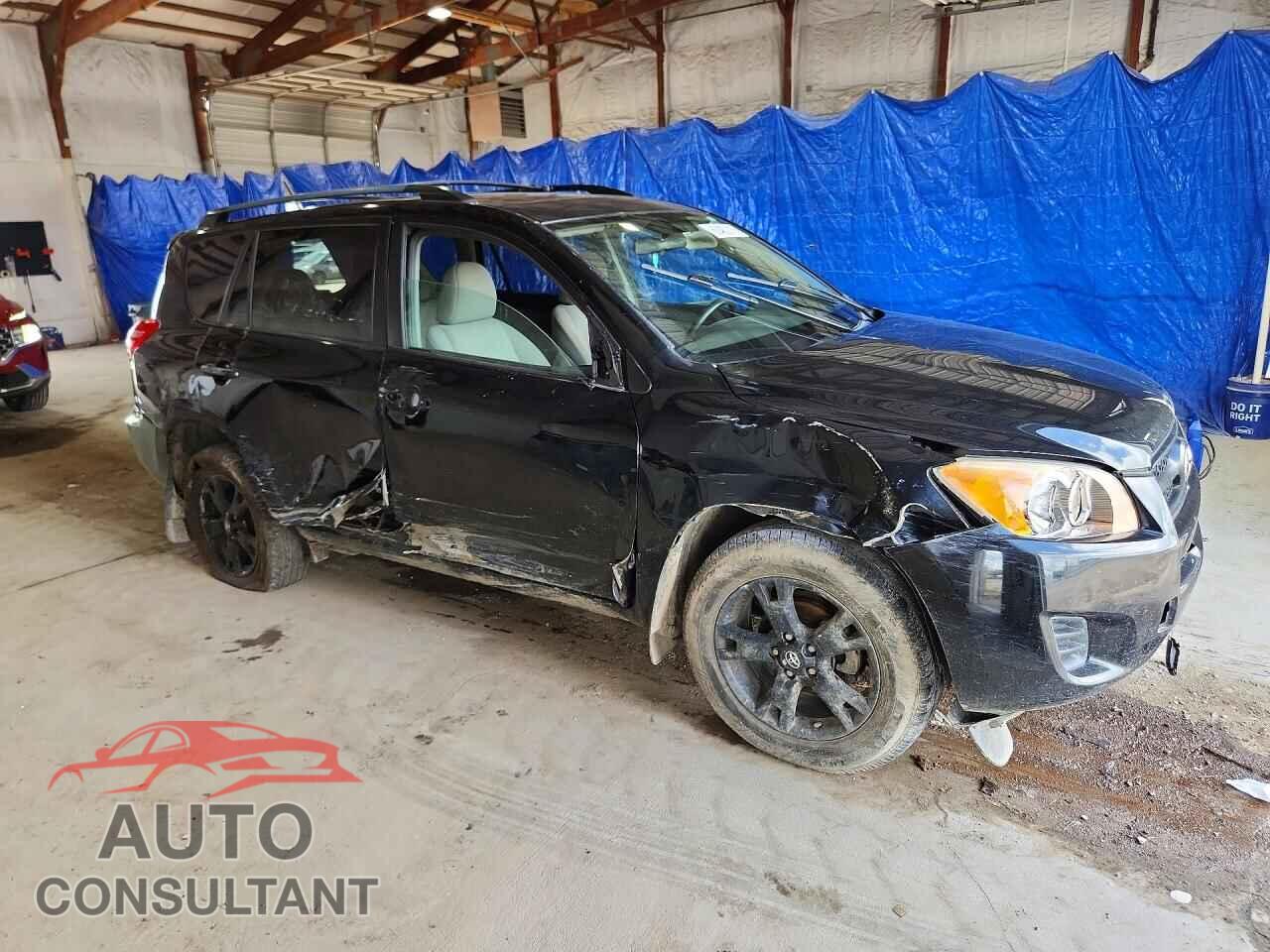 TOYOTA RAV4 2011 - 2T3BF4DV3BW153202