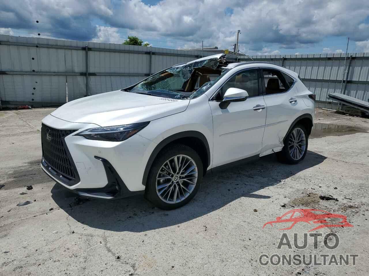 LEXUS NX 350H 2022 - 2T2GKCEZ2NC001662