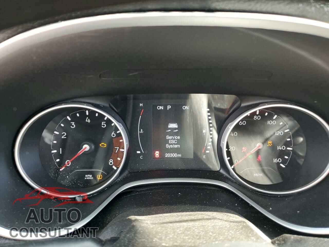 JEEP COMPASS 2020 - 3C4NJCABXLT125132