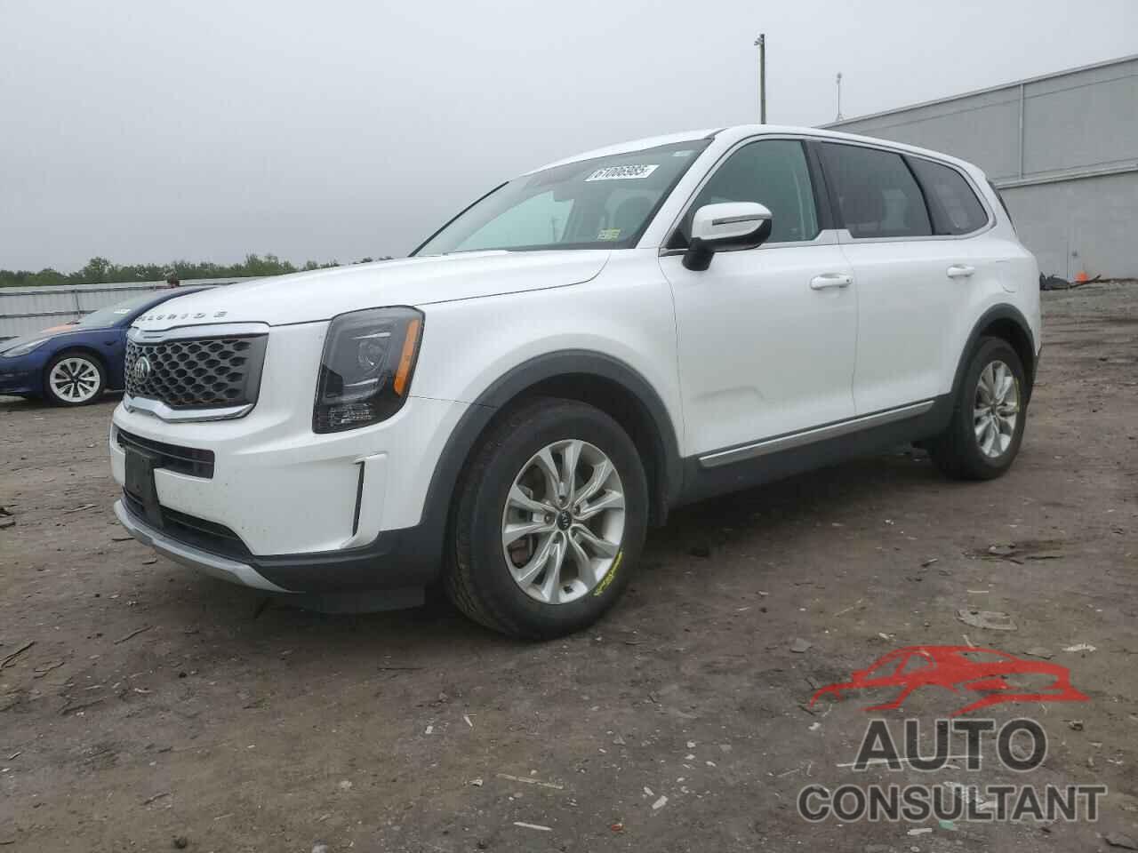 KIA TELLURIDE 2020 - 5XYP2DHC0LG029012