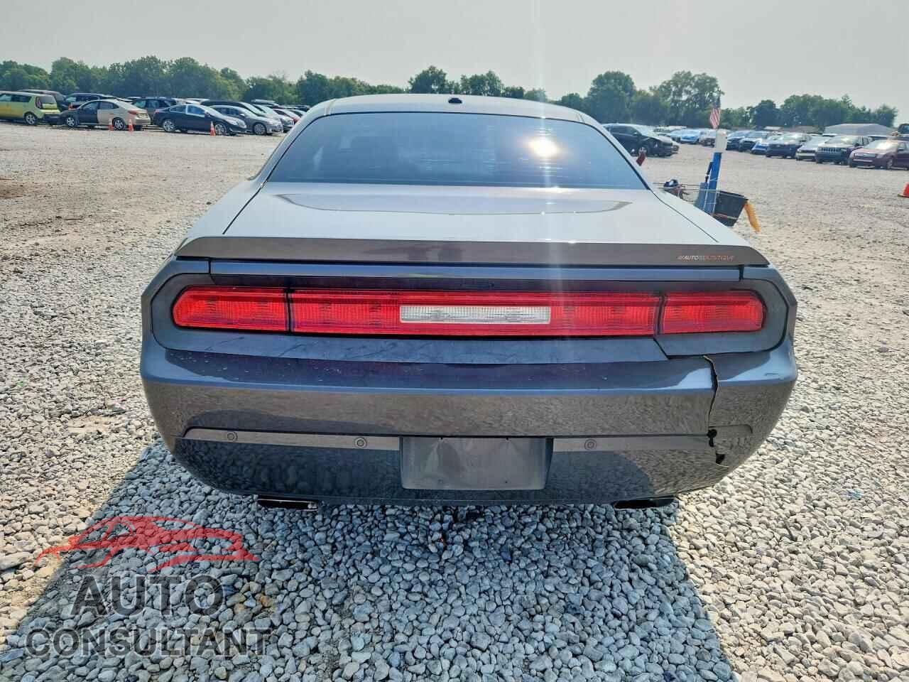 DODGE CHALLENGER 2013 - 2C3CDYAG0DH573885