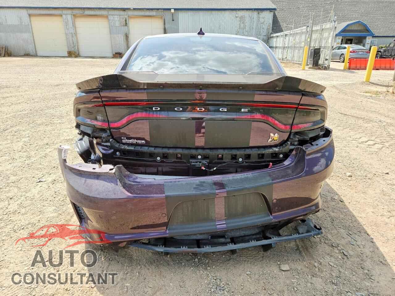 DODGE CHARGER 2021 - 2C3CDXGJ0MH559062