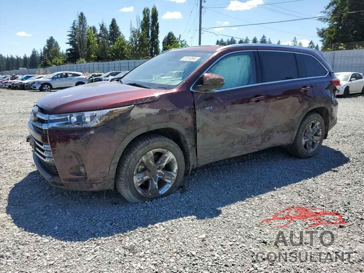 TOYOTA HIGHLANDER 2019 - 5TDDGRFH0KS057023