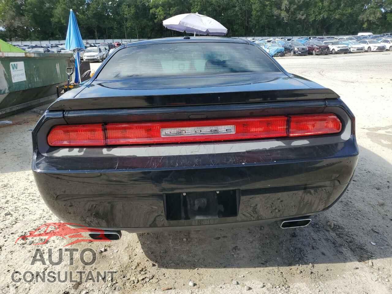 DODGE CHALLENGER 2013 - 2C3CDYBTXDH530957