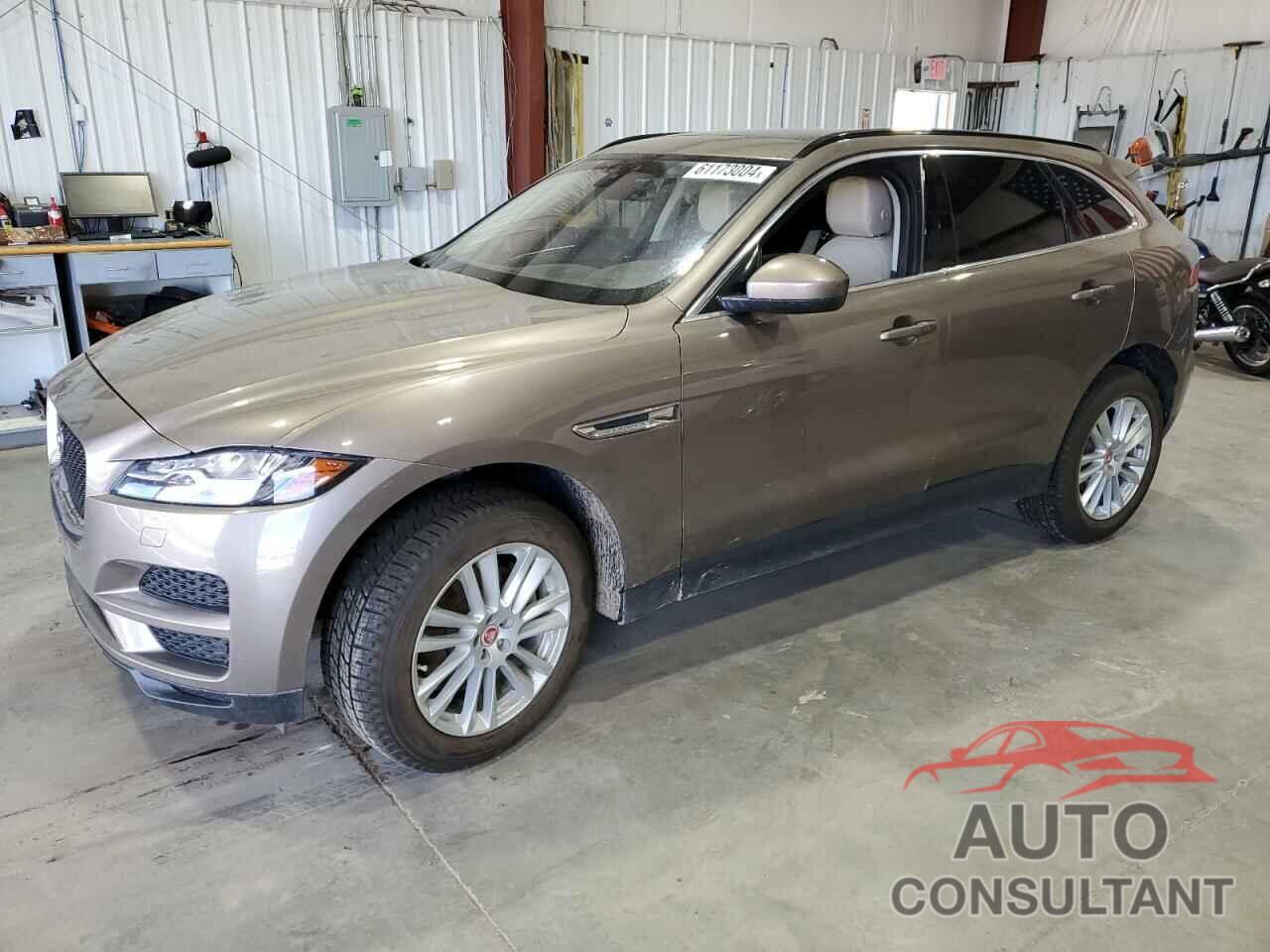 JAGUAR F-PACE 2017 - SADCK2BV4HA495289